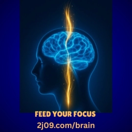 Feel Focused Again In 2026