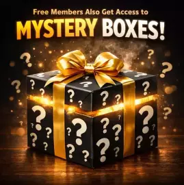 The Mystery Box Experience