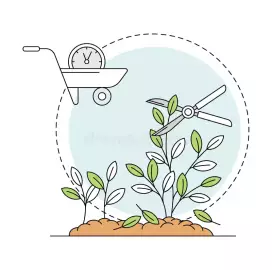 Augu kopšana / Уход за растениями / Plant care