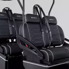 4 and 6 Seat Golf Cart Rentals for AMI