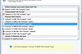 Best EML to MSG Converter for Windows