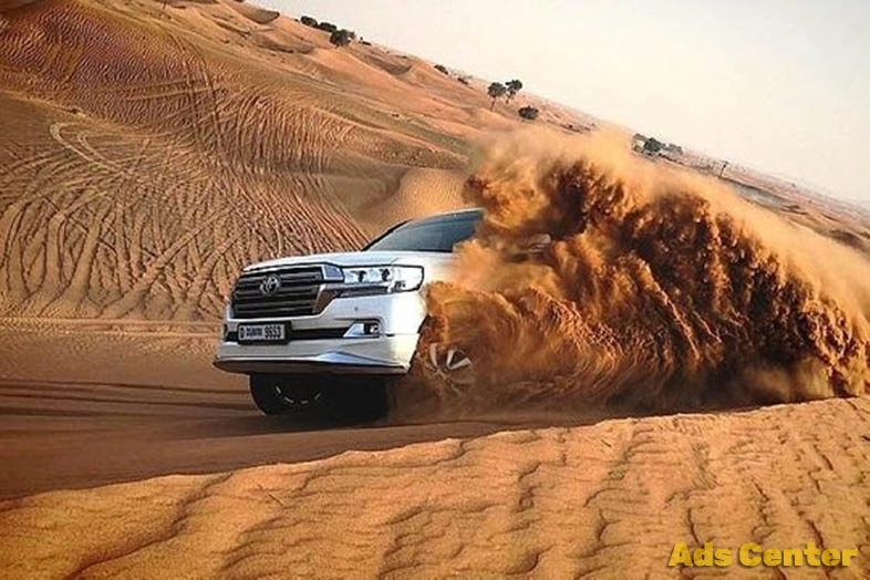 Desert Safari Abu Dhabi (Past)