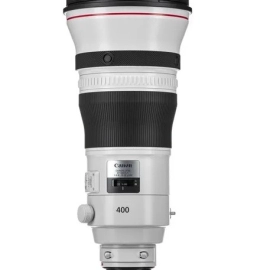 Canon EF 400mm f/2.8L IS III USM Lens