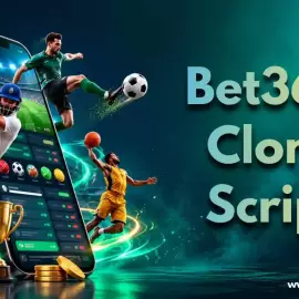 Businesses Can Customize a Sports365 Script