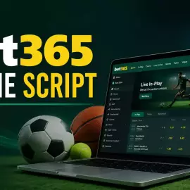 Bring Your Sports Business Online