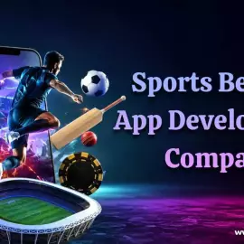 Most Businesses Choose Sports Platform