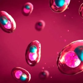 How Does Sleep Affect the Speed of Cell Aging